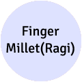 Finger Millet (Ragi)